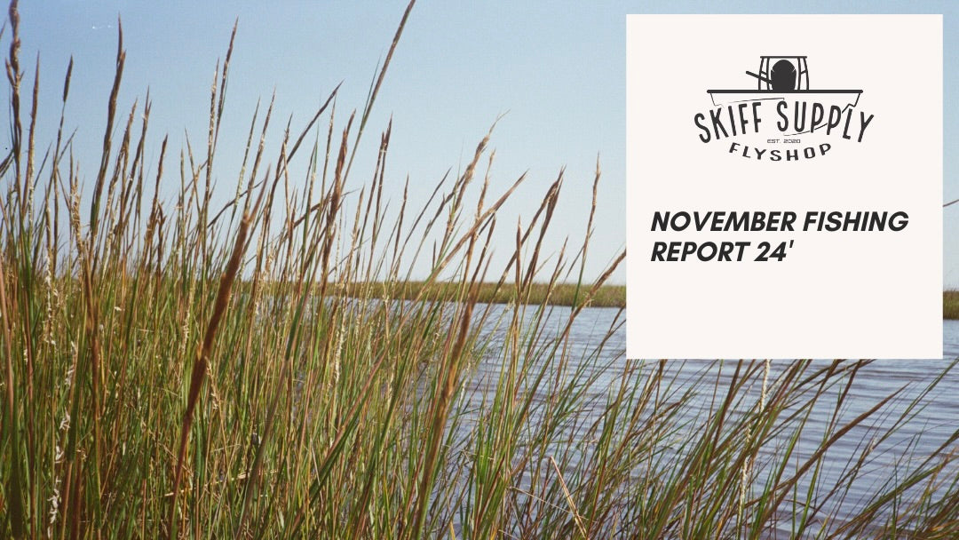 November Fishing Report 24'