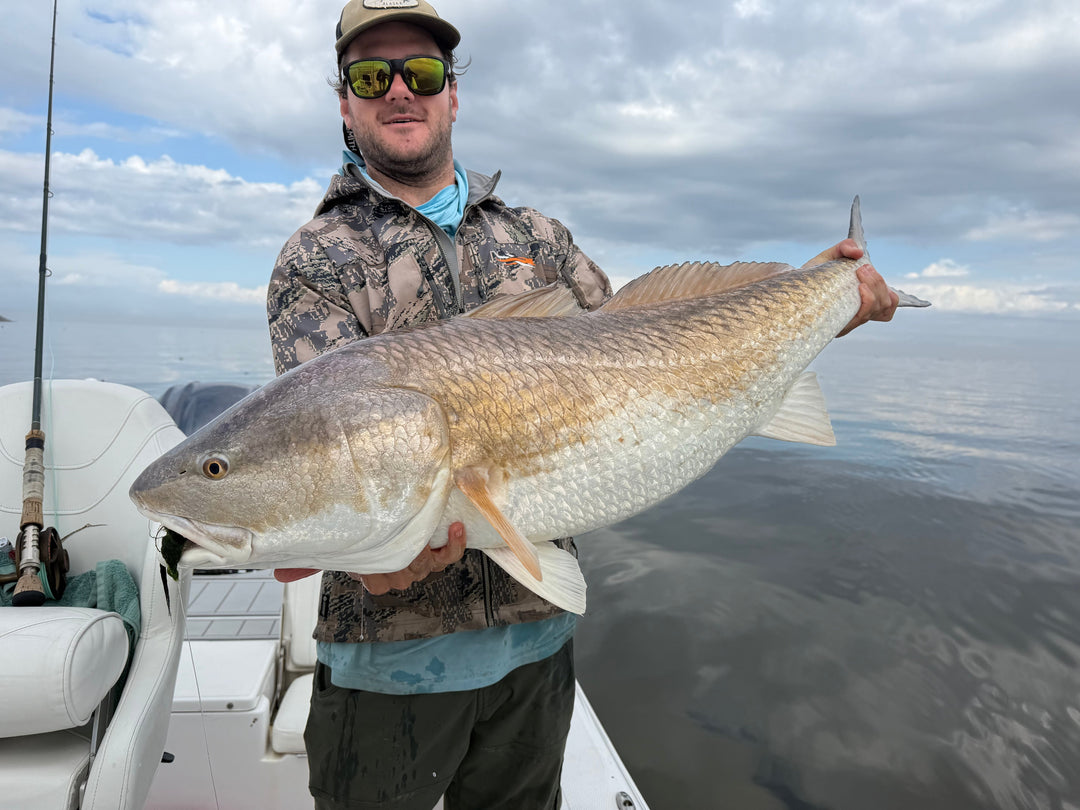 Hot January Fishing & Hungry Sheepshead