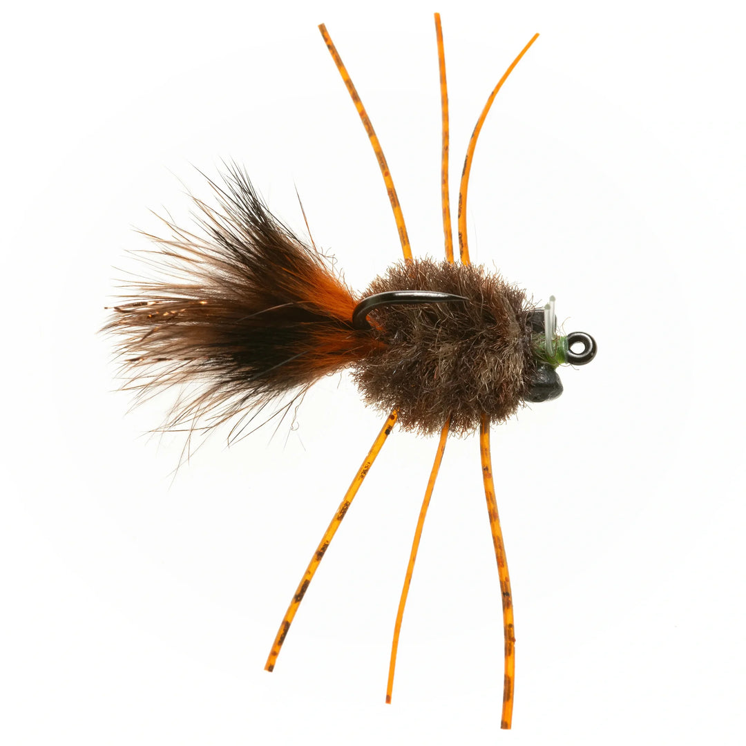 EP Crab Brown #1