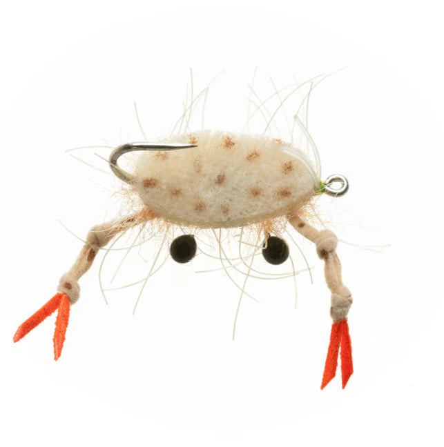 EP Fleeing Crab Sand #1