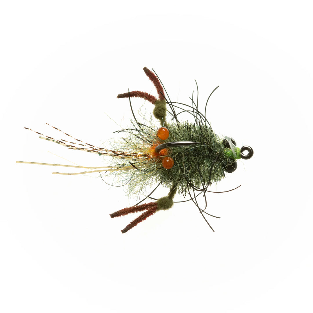 EP Tarantula Crab Olive #1