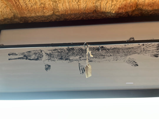 Japanese Art: Fish Ink Prints