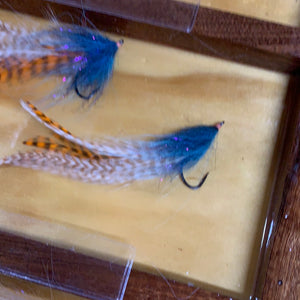 Max’s Blue and orange Feather food