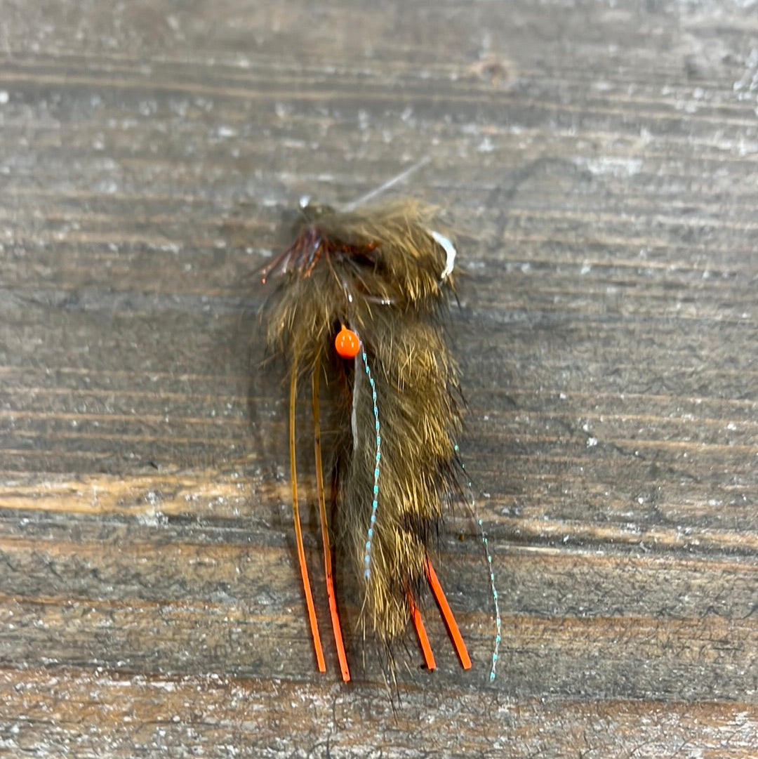 Fly Gutter Belly Crawler